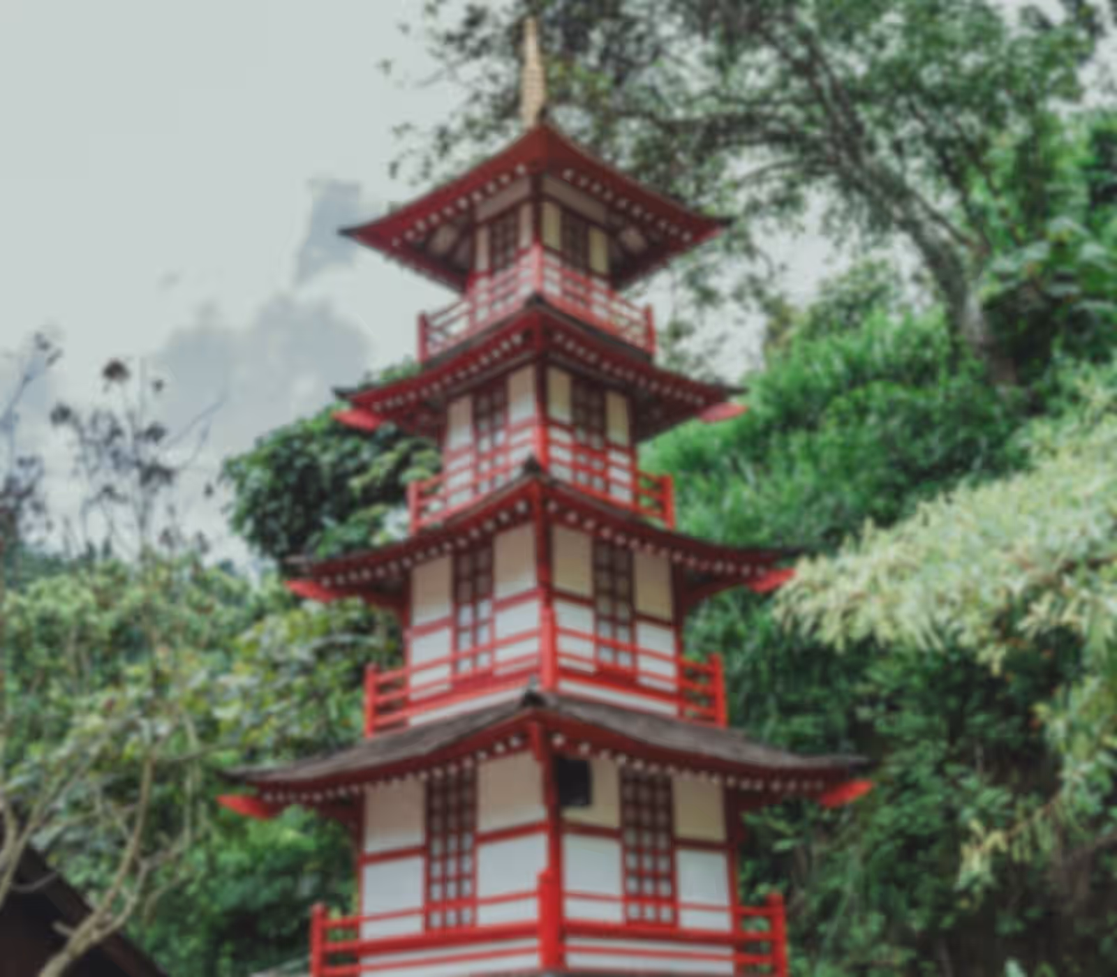 Soft focus video frame placeholder